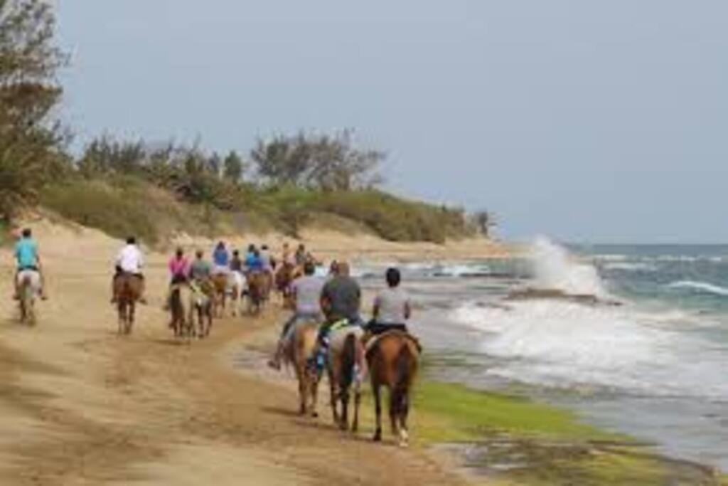 Haudimar Ph Beachfront Apt 4Br/3Bath Isabela Buitenkant foto